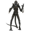 Figurine - Aliens - Ultimate Alien Warrior Brown - NECA