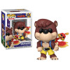 Figurine - Pop! Games - Banjo-Kazooie - Banjo & Kazooie - N° 981 - Funko