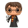 Figurine - Pop! Harry Potter - Harry with Hedwig - N° 31 - Funko