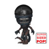 Figurine - Pop! Movies - Alien Romulus - Scorched Xenomorph - N° 1617 - Funko