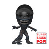 Figurine - Pop! Movies - Alien Romulus - Xenomorph - N° 1616 - Funko