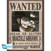 Poster - One Piece - Wanted Mihawk Wano - 52 x 38 cm - GB eye