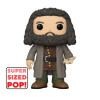 Figurine - Pop! Harry Potter - Rubeus Hagrid - N° 164 - Funko