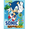 Set de 2 Posters - Sonic the Hedgehog - Greenhill - 52 x 38 cm - Pyramid International