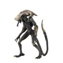 Figurine - Alien vs Predator - Chrysalis Alien - 18 cm - NECA