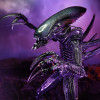 Figurine - Alien vs Predator - Razor Claws Alien - 20 cm - NECA