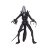 Figurine - Alien vs Predator - Razor Claws Alien - 20 cm - NECA