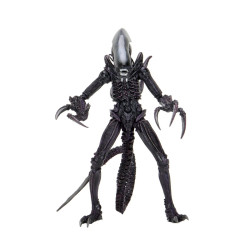 Figurine - Alien vs Predator - Razor Claws Alien - 18 cm - NECA