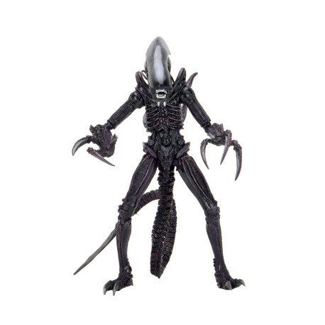 Figurine - Alien vs Predator - Razor Claws Alien - 20 cm - NECA