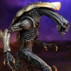 Figurine - Alien vs Predator - Chrysalis Alien - 20 cm - NECA