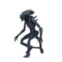 Figurine - Alien vs Predator - Arachnoid Alien - 18 cm - NECA