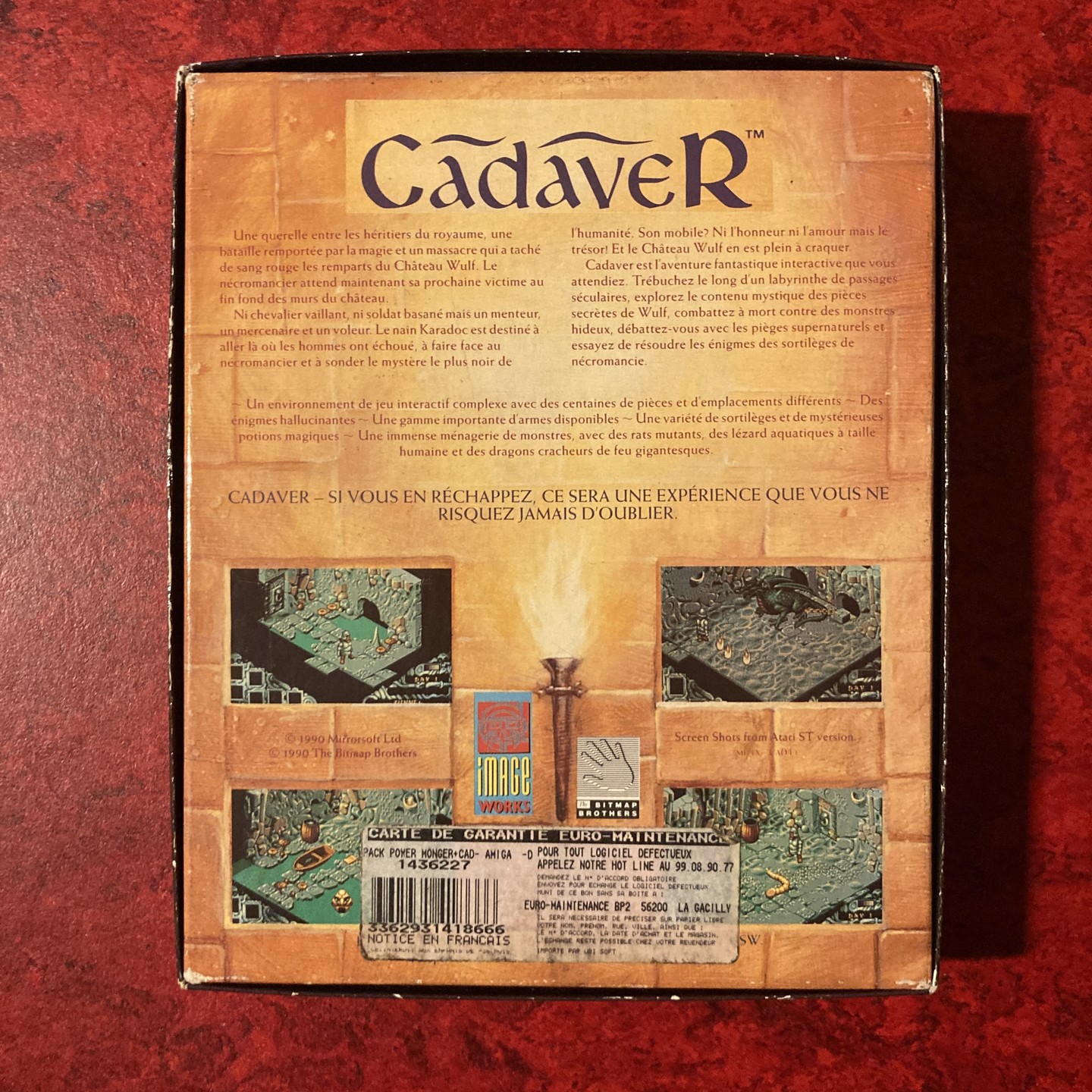 Cadaver