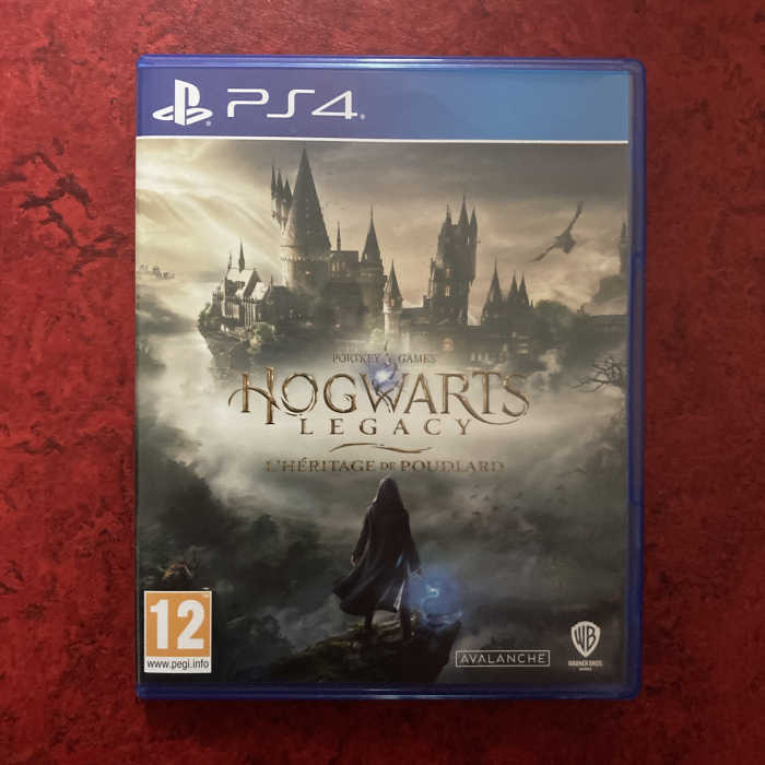 Hogwarts Legacy : L'Héritage de Poudlard (PC, PS5 XBOX Series, PS4, XBOX One)